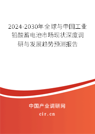 2024-2030年全球與中國工業(yè)鉛酸蓄電池市場現(xiàn)狀深度調(diào)研與發(fā)展趨勢預測報告