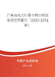 廣東省電力行業(yè)市場(chǎng)分析及發(fā)展前景報(bào)告（2025-2031年）