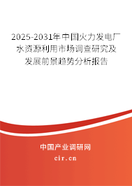 2025-2031年中國(guó)火力發(fā)電廠水資源利用市場(chǎng)調(diào)查研究及發(fā)展前景趨勢(shì)分析報(bào)告