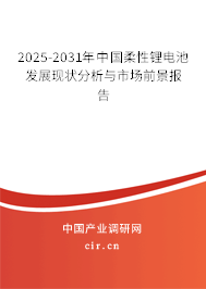 2026-2032年中國柔性鋰電池發(fā)展現(xiàn)狀分析與市場前景報(bào)告 2026-2032年中國柔性鋰電池發(fā)展現(xiàn)狀分析與市場前景報(bào)告
