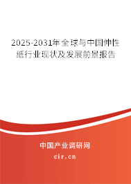 2025-2031年全球與中國伸性紙行業(yè)現(xiàn)狀及發(fā)展前景報告 2025-2031年全球與中國伸性紙行業(yè)現(xiàn)狀及發(fā)展前景報告