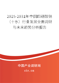 2025-2031年中國(guó)四硼酸鈉(十水)行業(yè)發(fā)展全面調(diào)研與未來(lái)趨勢(shì)分析報(bào)告 2025-2031年中國(guó)四硼酸鈉(十水)行業(yè)發(fā)展全面調(diào)研與未來(lái)趨勢(shì)分析報(bào)告