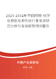 2025-2031年中國(guó)物理-化學(xué)電源能電源系統(tǒng)行業(yè)發(fā)展研究分析與發(fā)展趨勢(shì)預(yù)測(cè)報(bào)告