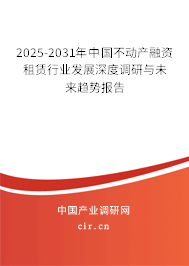 2025-2031年中國不動產(chǎn)融資租賃行業(yè)發(fā)展深度調研與未來趨勢報告