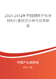 2024-2030年中國鋰離子電池材料行業(yè)研究分析與前景趨勢 2024-2030年中國鋰離子電池材料行業(yè)研究分析與前景趨勢