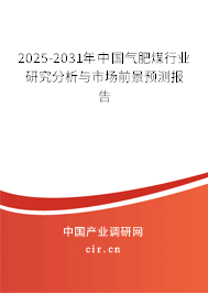 2025-2031年中國(guó)氣肥煤行業(yè)研究分析與市場(chǎng)前景預(yù)測(cè)報(bào)告