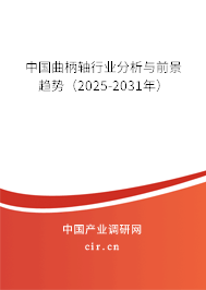 中國曲柄軸行業(yè)分析與前景趨勢（2026-2032年）