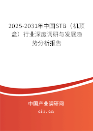 2025-2031年中國STB(機(jī)頂盒)行業(yè)深度調(diào)研與發(fā)展趨勢分析報告 2025-2031年中國STB(機(jī)頂盒)行業(yè)深度調(diào)研與發(fā)展趨勢分析報告