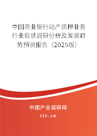 中國商業(yè)銀行動產質押業(yè)務行業(yè)現狀調研分析及發(fā)展趨勢預測報告（2025版）