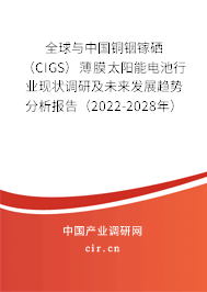 全球與中國(guó)銅銦鎵硒（CIGS）薄膜太陽(yáng)能電池行業(yè)現(xiàn)狀調(diào)研及未來(lái)發(fā)展趨勢(shì)分析報(bào)告（2022-2028年）