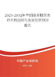 2025-2031年中國氨基糖苷類藥市場調研與發(fā)展前景預測報告