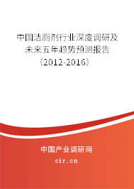 中國潔廁劑行業(yè)深度調(diào)研及未來五年趨勢預(yù)測報(bào)告（2012-2016）