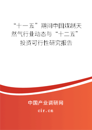 “十一五”期間中國(guó)煤制天然氣行業(yè)動(dòng)態(tài)與“十二五”投資可行性研究報(bào)告