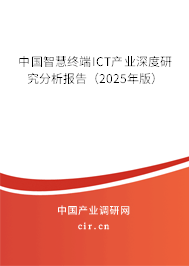 中國(guó)智慧終端ICT產(chǎn)業(yè)深度研究分析報(bào)告（2025年版）