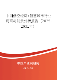 中國低空經(jīng)濟+智慧城市行業(yè)調(diào)研與前景分析報告(2025-2031年) 中國低空經(jīng)濟+智慧城市行業(yè)調(diào)研與前景分析報告(2025-2031年)