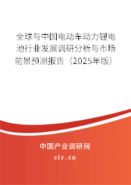 全球與中國電動車動力鋰電池行業(yè)發(fā)展調(diào)研分析與市場前景預測報告（2025年版）