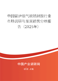 中國(guó)鍋爐煙氣脫硫制酸行業(yè)市場(chǎng)調(diào)研與發(fā)展趨勢(shì)分析報(bào)告（2025年）