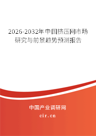 2025-2031年中國擠壓網(wǎng)市場研究與前景趨勢預(yù)測報告