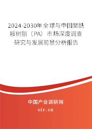 2024-2030年全球與中國聚酰胺樹脂（PA）市場深度調查研究與發(fā)展前景分析報告