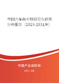 中國(guó)力車胎市場(chǎng)研究與趨勢(shì)分析報(bào)告（2025-2031年）