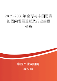 2025-2031年全球與中國(guó)瀝青加固網(wǎng)發(fā)展現(xiàn)狀及行業(yè)前景分析