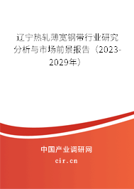 遼寧熱軋薄寬鋼帶行業(yè)研究分析與市場前景報告（2023-2029年）