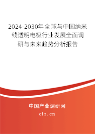 2024-2030年全球與中國納米線透明電極行業(yè)發(fā)展全面調研與未來趨勢分析報告
