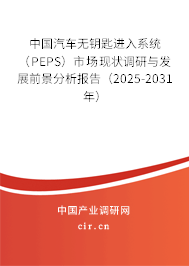 中國(guó)汽車(chē)無(wú)鑰匙進(jìn)入系統(tǒng)（PEPS）市場(chǎng)現(xiàn)狀調(diào)研與發(fā)展前景分析報(bào)告（2025-2031年）