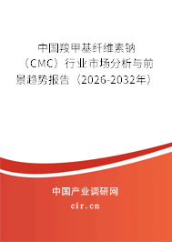 中國羧甲基纖維素鈉（CMC）行業(yè)市場分析與前景趨勢報告（2026-2032年）