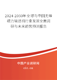 2024-2030年全球與中國無帶磁力輸送機行業(yè)發(fā)展全面調(diào)研與未來趨勢預(yù)測報告