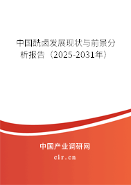 中國(guó)酰鹵發(fā)展現(xiàn)狀與前景分析報(bào)告（2025-2031年）