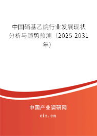 中國硝基乙烷行業(yè)發(fā)展現(xiàn)狀分析與趨勢預(yù)測（2025-2031年）