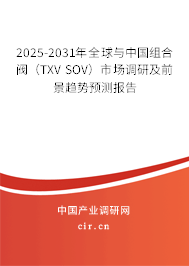2025-2031年全球與中國組合閥（TXV SOV）市場調(diào)研及前景趨勢預(yù)測報告