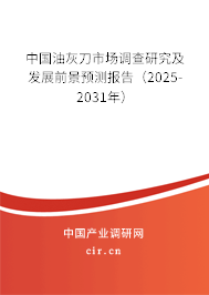 中國油灰刀市場調(diào)查研究及發(fā)展前景預(yù)測報告（2025-2031年）