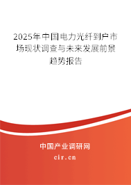 2025年中國(guó)電力光纖到戶市場(chǎng)現(xiàn)狀調(diào)查與未來(lái)發(fā)展前景趨勢(shì)報(bào)告