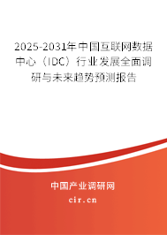 2025-2031年中國(guó)互聯(lián)網(wǎng)數(shù)據(jù)中心（IDC）行業(yè)發(fā)展全面調(diào)研與未來(lái)趨勢(shì)預(yù)測(cè)報(bào)告