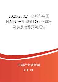 2025-2031年全球與中國N,N,N-三甲基硼嗪行業(yè)調研及前景趨勢預測報告