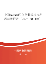 中國(guó)NAND閃存行業(yè)現(xiàn)狀與發(fā)展前景報(bào)告（2024-2030年）