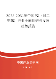 2025-2031年中國(guó)PX（對(duì)二甲苯）行業(yè)全面調(diào)研與發(fā)展趨勢(shì)報(bào)告