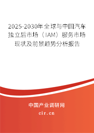 2025-2030年全球與中國汽車獨(dú)立后市場(IAM)服務(wù)市場現(xiàn)狀及前景趨勢分析報(bào)告 2025-2030年全球與中國汽車獨(dú)立后市場(IAM)服務(wù)市場現(xiàn)狀及前景趨勢分析報(bào)告