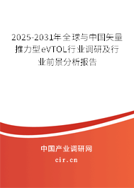 2025-2031年全球與中國矢量推力型eVTOL行業(yè)調(diào)研及行業(yè)前景分析報告 2025-2031年全球與中國矢量推力型eVTOL行業(yè)調(diào)研及行業(yè)前景分析報告