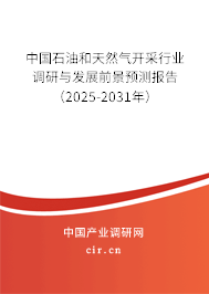 中國石油和天然氣開采行業(yè)調(diào)研與發(fā)展前景預測報告（2025-2031年）