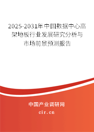 2025-2031年中國數據中心高架地板行業(yè)發(fā)展研究分析與市場前景預測報告