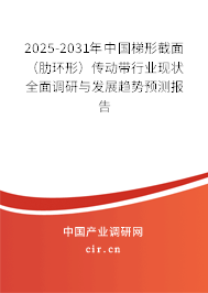 2025-2031年中國梯形截面（肋環(huán)形）傳動帶行業(yè)現(xiàn)狀全面調(diào)研與發(fā)展趨勢預(yù)測報告