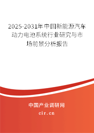 2025-2031年中國新能源汽車動力電池系統(tǒng)行業(yè)研究與市場前景分析報告 2025-2031年中國新能源汽車動力電池系統(tǒng)行業(yè)研究與市場前景分析報告