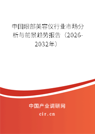中國眼部美容儀行業(yè)市場分析與前景趨勢報告（2025-2031年）