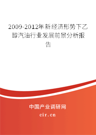 2009-2012年新經(jīng)濟(jì)形勢下乙醇汽油行業(yè)發(fā)展前景分析報(bào)告