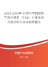2024-2030年全球與中國醋酸丁酸纖維素(CAB)行業(yè)發(fā)展深度調(diào)研與未來趨勢報告 2024-2030年全球與中國醋酸丁酸纖維素(CAB)行業(yè)發(fā)展深度調(diào)研與未來趨勢報告