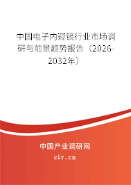 中國電子內(nèi)窺鏡行業(yè)市場調(diào)研與前景趨勢報告（2026-2032年）