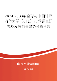 2024-2030年全球與中國(guó)計(jì)算流體力學(xué)（CFD）市場(chǎng)調(diào)查研究及發(fā)展前景趨勢(shì)分析報(bào)告